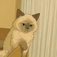 amiadoron
