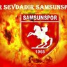 temel reis