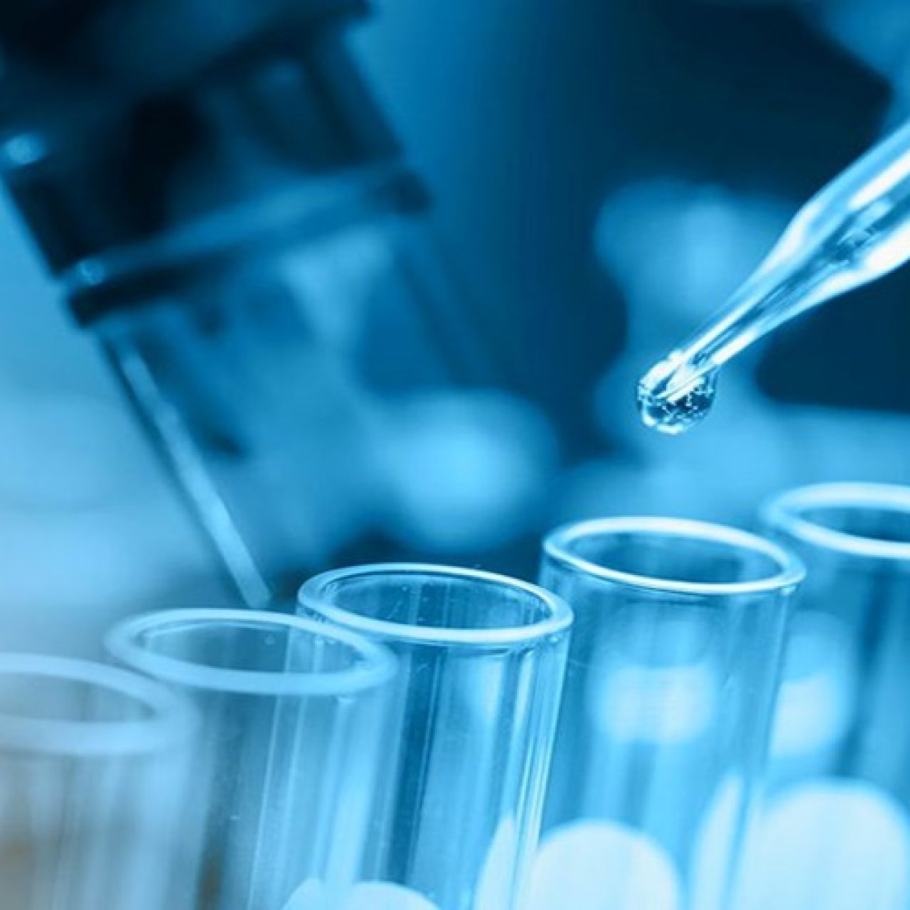 Fenolik Sararma Testi Nasıl Yapılır?