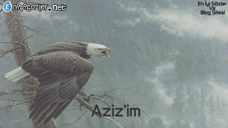 1742821046390.png